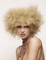 Blonde Frizzy Hairstyle by Royston Blythe