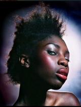  Black Afro Hairstyle by Hair Associates