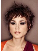 Short Brown Spikey Hairstyle by Web Collections