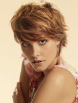 Short Brown Mature Hairstyle by Royston Blythe