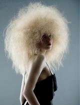 Afro Hairstyle by Aveda